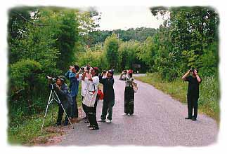 Bird Watching at Nam Nao, Petchaboon