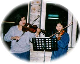 Violin
